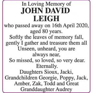 JOHN DAVID LEIGH