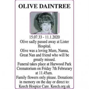 Olive Daintree